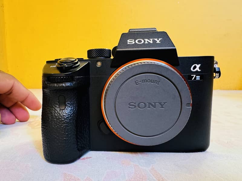 Sony Alpha a7III Mirrorless Camera (Body Only) 3