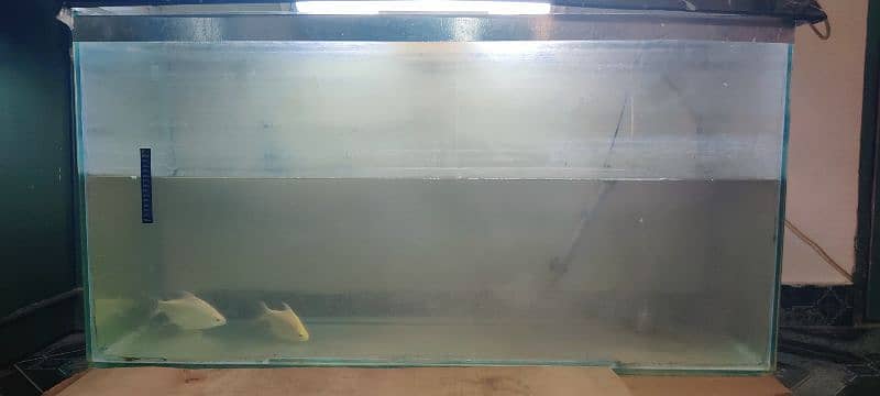 4ft aquarium glass for sale with custom roof 4×2×1.5 ft 0