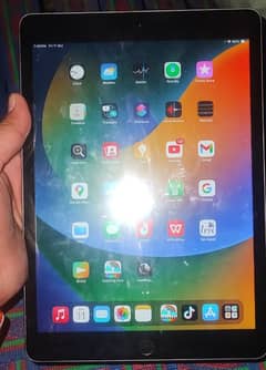 iPad