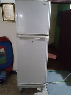 Orient medium fridge