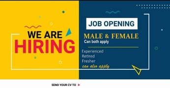 fresh staff required for office working 0