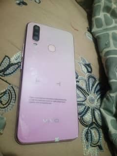 vivo