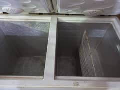 D Freezer Double Door