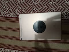 ipad Mini 5 256 Gb