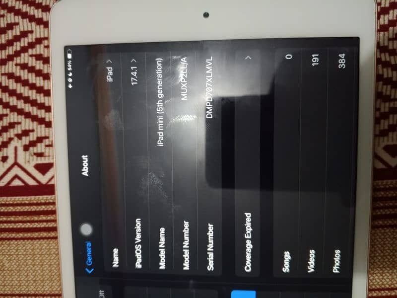 ipad Mini 5 256 Gb 7