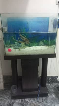 fishtank for sale