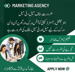 Male and Female Staff required for home based and OFfice based