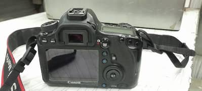 Canon 6D