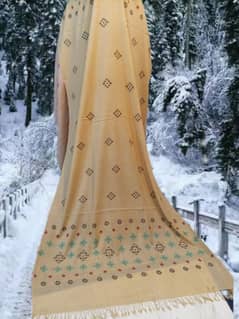 Female Shawl | Pure Wool | full Handmade embroidery