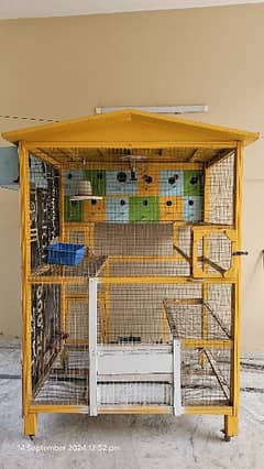 Hen and Birds Cages for Sale