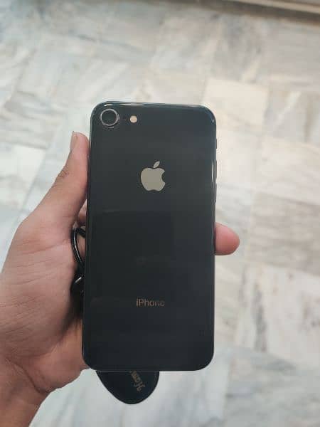 Iphone 8 pta approved 1