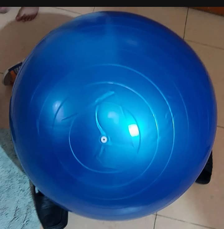 exercise ball 0