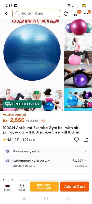 exercise ball 2