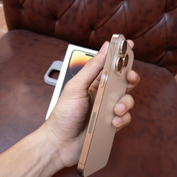 i phone 14 pro max gold colour 256 gb with box non pta 2