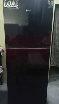 haire large size frige Refrigerators HRF 398 IP glass door