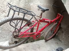 Badi cycle