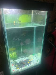 Fish Aquarium  (Decoration+Light+Oxygen Pump)