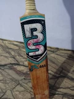 Cricket bat