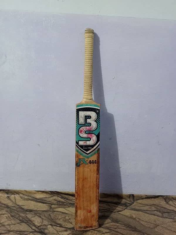 Cricket bat 3