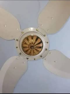 Sonex Golden Fancy Fans for sale in PAIRS.