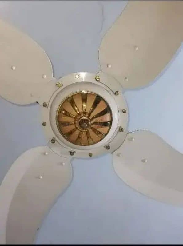 Sonex Golden Fancy Fans for sale in PAIRS. 2