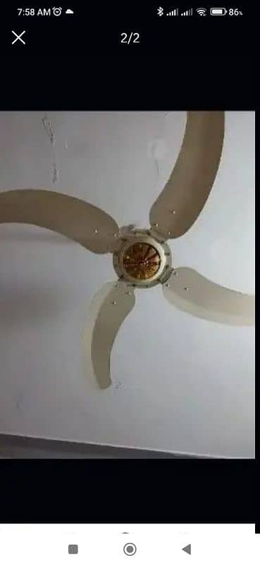 Sonex Golden Fancy Fans for sale in PAIRS. 3