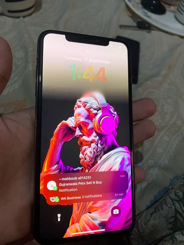 XS MAX 512GB FU 2