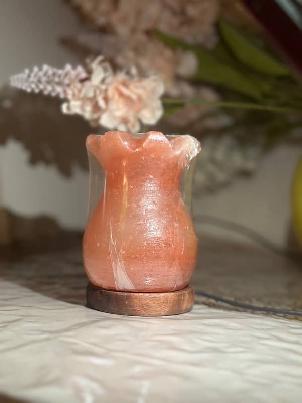 salt lamp 14