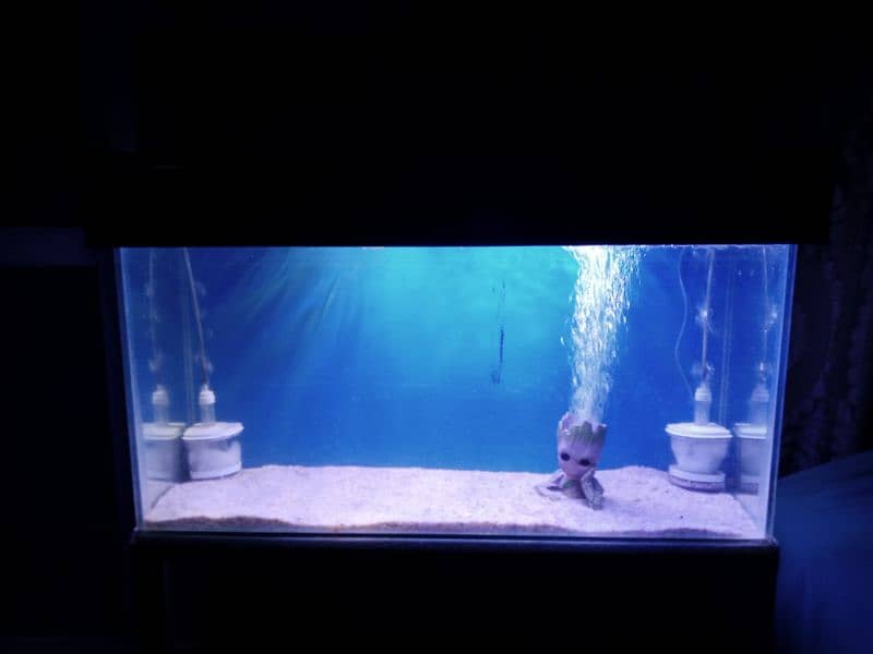 aquarium 0