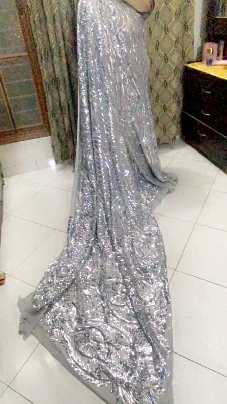 sequence Net saree 2