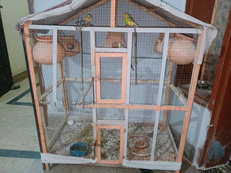 5 pairs parrot for sale 0