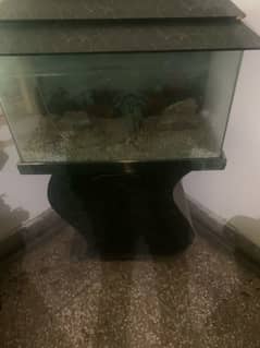 Medium size Aquarium with stones for sale