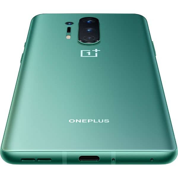 OnePlus 8 Pro Dual PTA Green Line 3