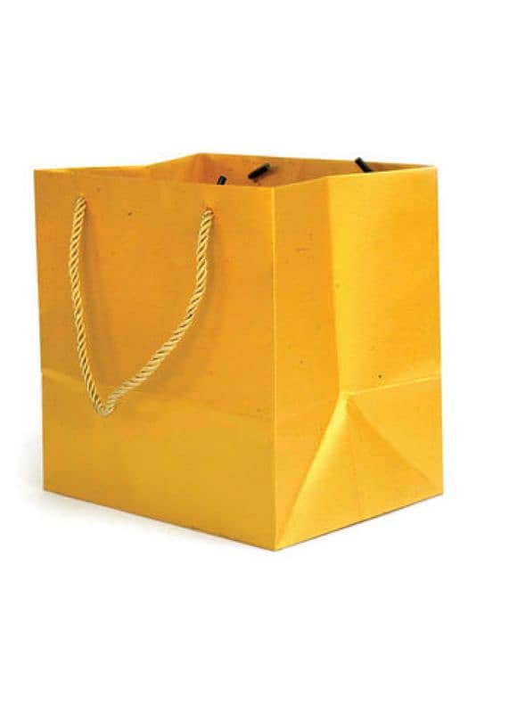 paper bag,card bag,carrier bag 1