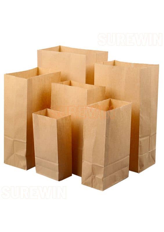 paper bag,card bag,carrier bag 2