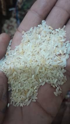 Premium Short Grain Rice at Affordable Prices - Available 24/ 0