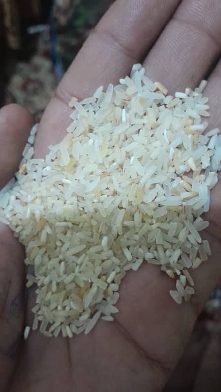 Premium Short Grain Rice at Affordable Prices - Available 24/ 0