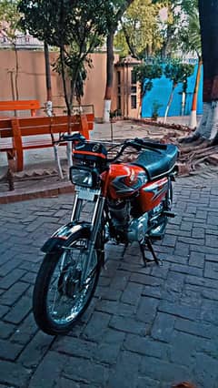 Honda 125 2023