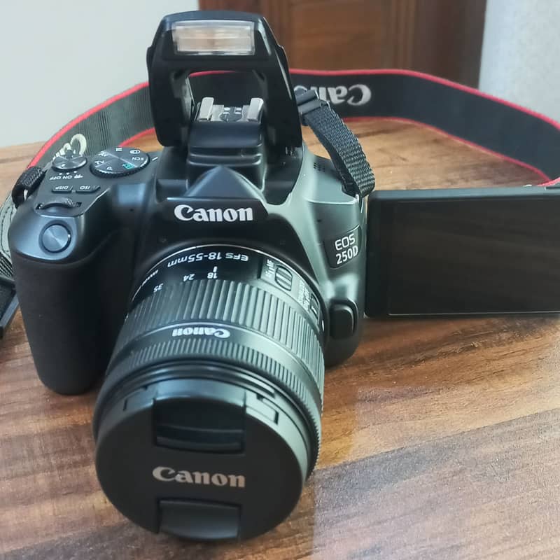 DSLR Canon EOS 250D 1