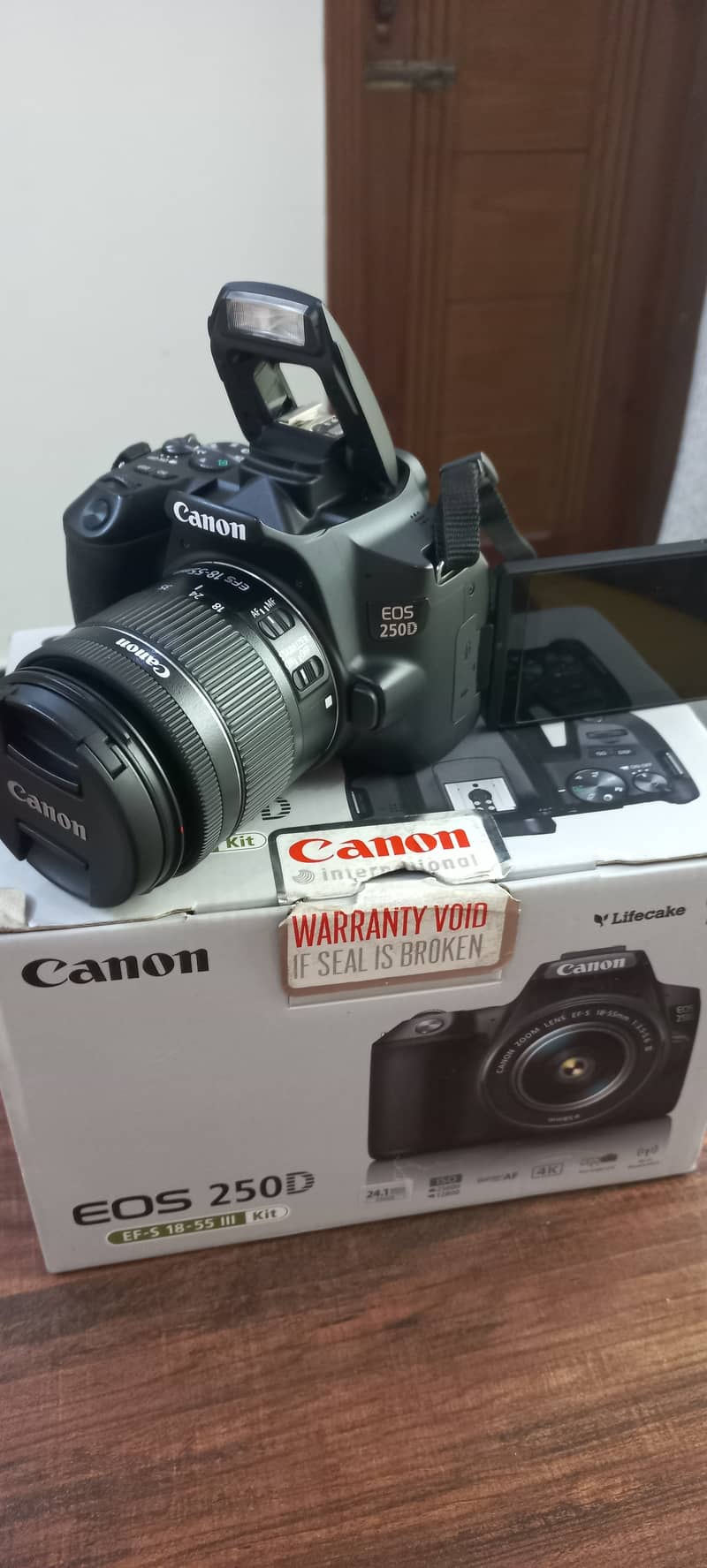 DSLR Canon EOS 250D 2