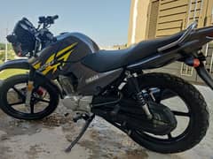 Yamaha ybr 125g 2019