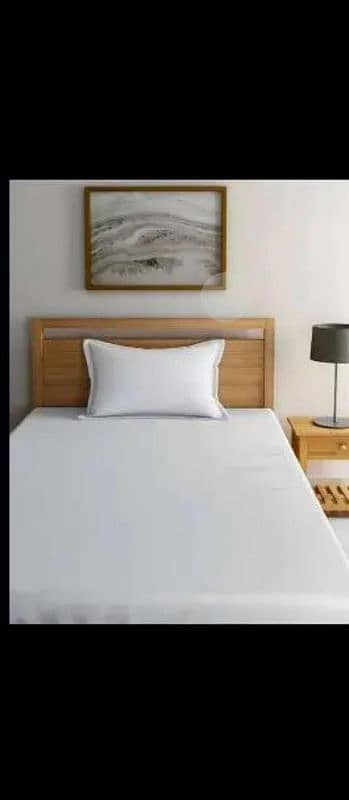 Rich Cotton Plain Bedsheets (White) 4