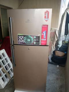 fridge