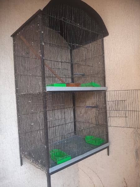 Cage for birds/ chickens 1