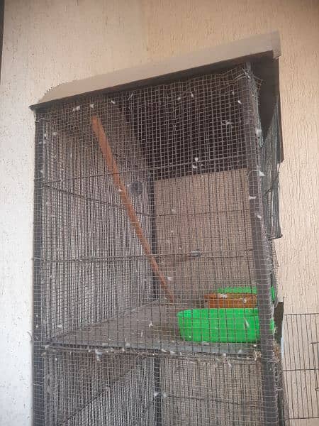 Cage for birds/ chickens 3