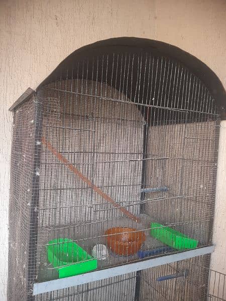 Cage for birds/ chickens 4