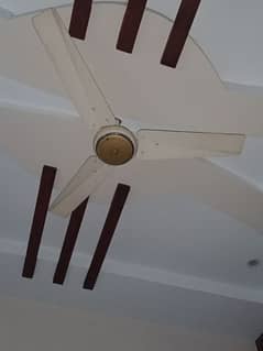 ceiling fan