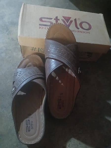 stylo  casual  shoes 1