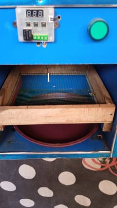 SMALL INCUBATOR