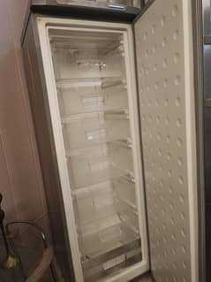 Standing Freezer